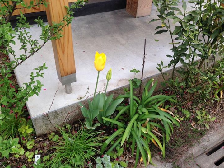 a2de3e8dbcf1812940d0