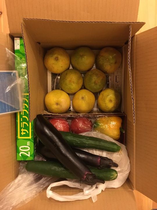 f22514e4aceb213a4b3f